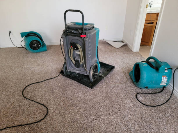Best Sewage cleanup and water damage restoration  in Highland Park, NJ
