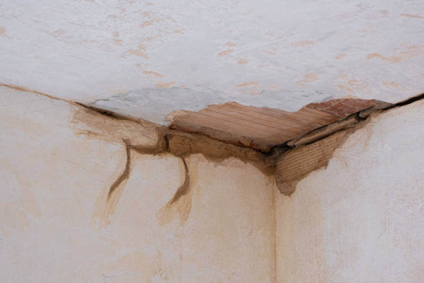 Best Ceiling water damage repair  in Highland Park, NJ