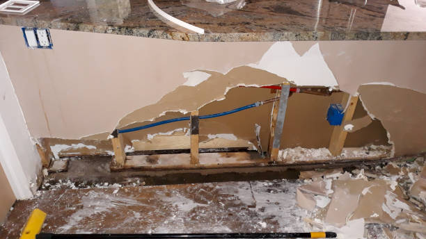 Best 24/7 water damage repair  in Highland Park, NJ
