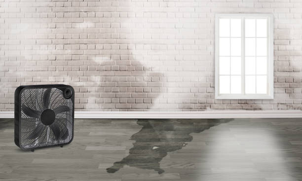 Best Flood restoration services  in Highland Park, NJ