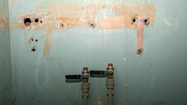 Reliable Highland Park, NJ Water damage restoration Solutions