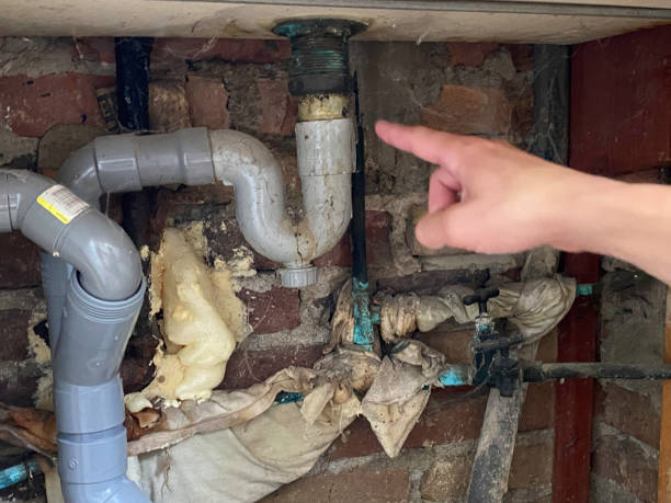 Best Commercial water damage restoration  in Highland Park, NJ